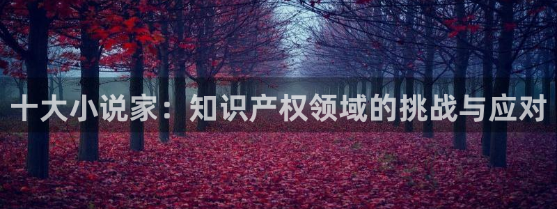 第一版主小说网.：十大小说家：知识产权领域的挑战与应对