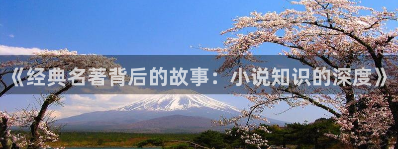 第一版主小说旧版入口：《经典名著背后的故事：小说知识的深度》