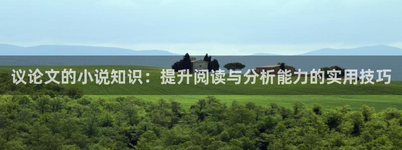 峥嵘岁月小说第一版主：议论文的小说知识：提升阅读与分析能力的实用技巧