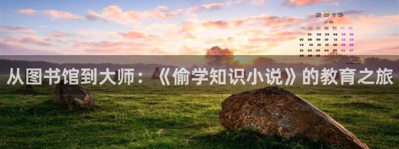 豪乳老师刘艳小说第一版主：从图书馆到大师：《偷学知识小说》的教育之旅
